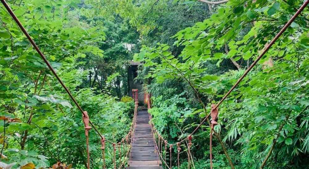 Khám Phá Khu Sinh Thái Troh Bư - Những Trải Nghiệm Đặc Sắc