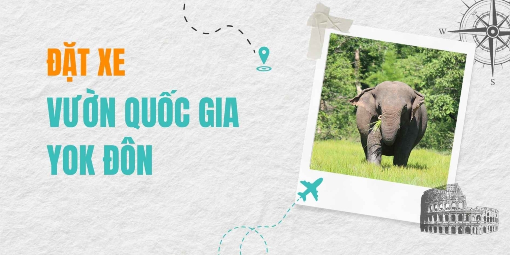 Dịch vụ đặt xe tham quan Vườn Quốc gia Yok Đôn (Đắk Lắk) – Hành trình khám phá hệ sinh thái rừng khộp và trải nghiệm mô hình du lịch thân thiện với voi.