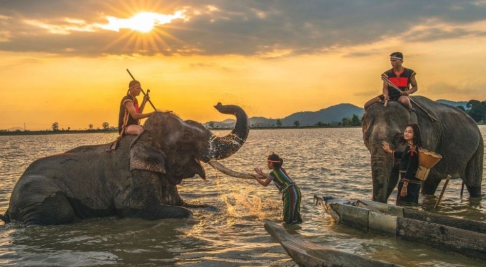 Khám phá vẻ đẹp di sản văn hóa tại Hồ Lắk – Hình ảnh voi và những quản tượng người M'Nông trong ánh hoàng hôn rực rỡ, một nét đẹp đặc trưng của du lịch Tây Nguyên.