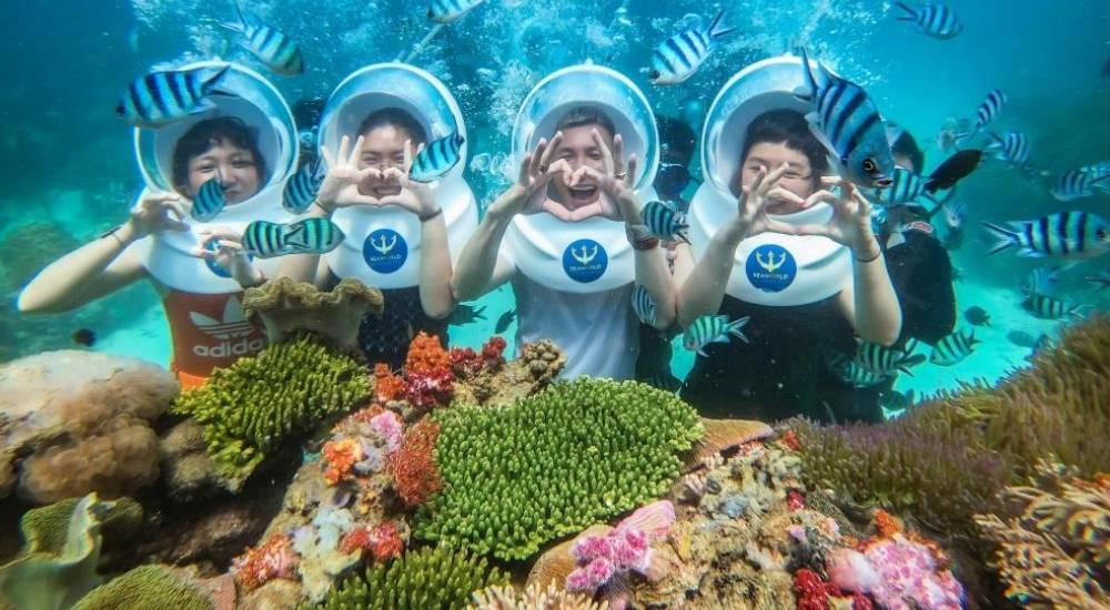 Lặn biển ngắm san hô - Trải nghiệm không thể bỏ qua