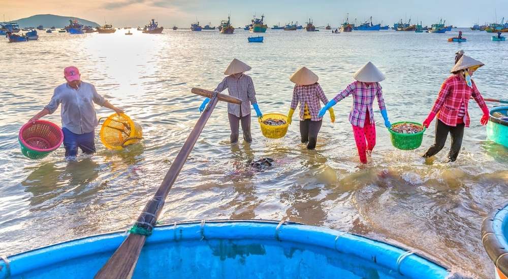 Làng chài Mũi Né và chợ hải sản - Trải nghiệm ngư dân địa phương