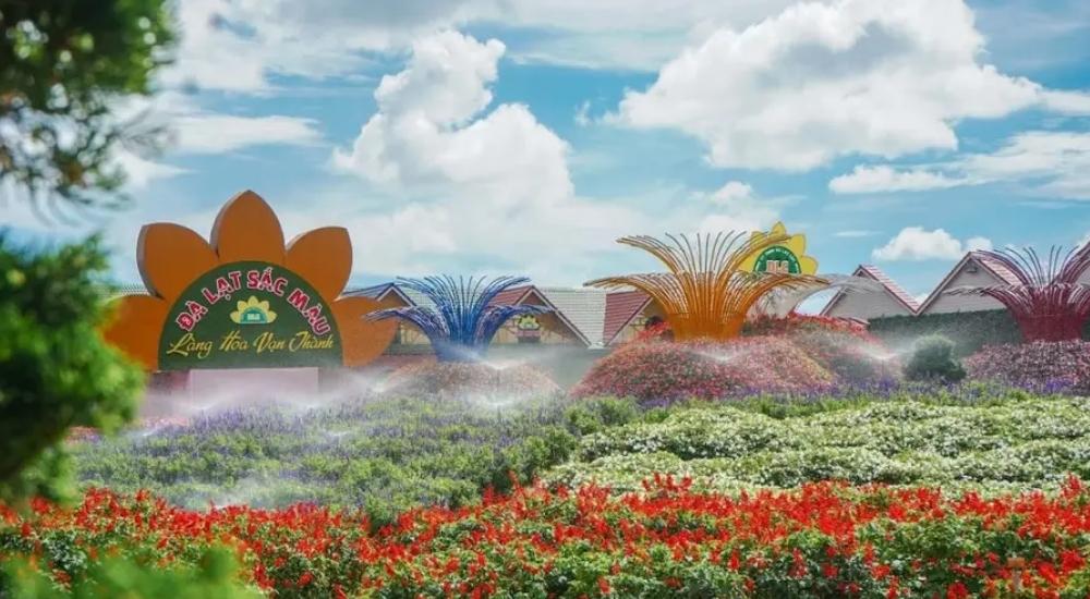 Làng hoa Vạn Thành và vườn dâu tây - Trải nghiệm nông nghiệp Đà Lạt
