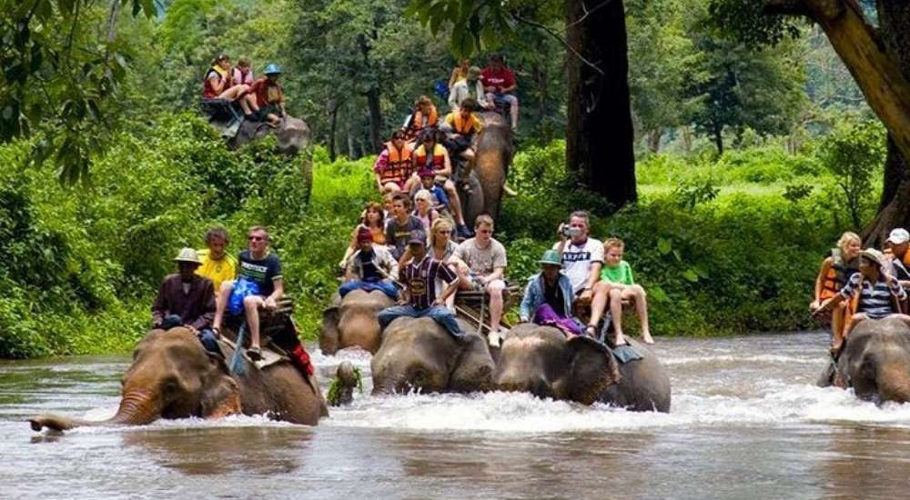 Hành trình chinh phục dòng nước trên lưng voi – Biểu tượng du lịch đặc sắc