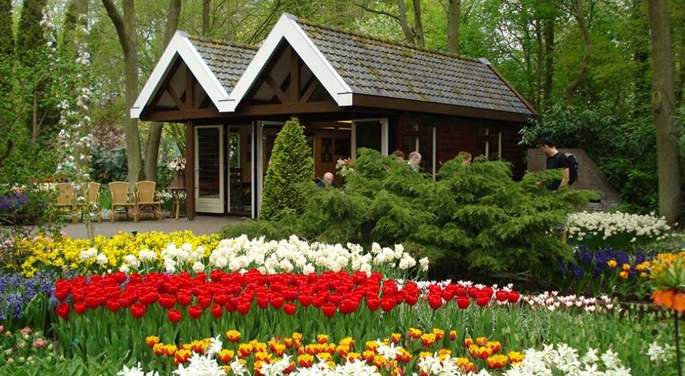 Vườn hoa thành phố và đồi Mộng Mơ - Rực rỡ sắc hoa Đà Lạt